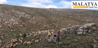 Çobanın bayram parası dağda koyun otlatırken verildi
