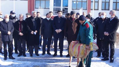 Hekimhan'da “Şükür Kurbanı” kesildi