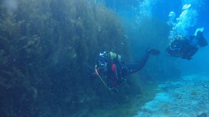 Doğal akvaryum Gökpınar'da Sualtı Arama ekibinden dalış eğitimi