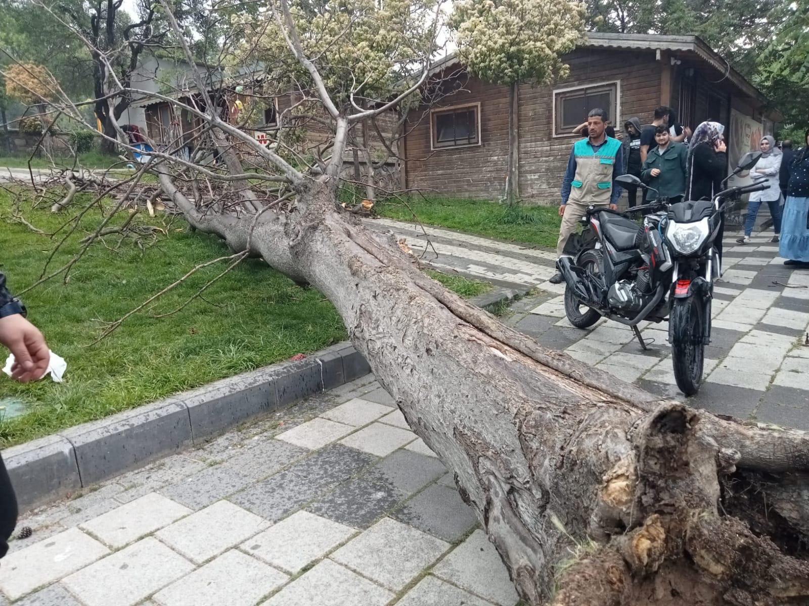 Malatya'da Orduzu Pınarbaşı Tabiat Parkında bir ağacın şiddetli rüzgar nedeniyle kökünden sökülerek,  o sırada yoldan  geçmekte olan ve üzerinde 2 kişi  bulunan motosikletin üzerine devrildi. 