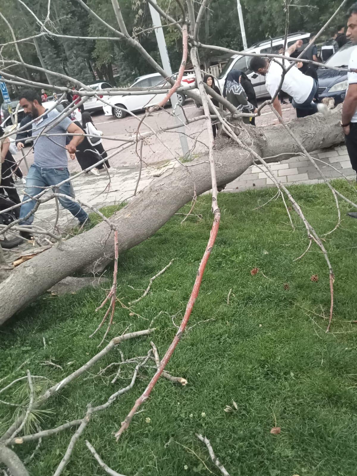 Malatya'da Orduzu Pınarbaşı Tabiat Parkında bir ağacın şiddetli rüzgar nedeniyle kökünden sökülerek,  o sırada yoldan  geçmekte olan ve üzerinde 2 kişi  bulunan motosikletin üzerine devrildi. 