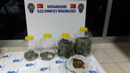 Doğanşehir'de uyuşturucudan 1 kişi tutuklandı