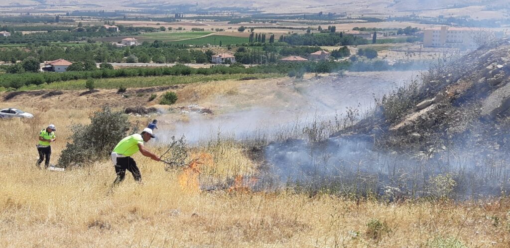 Malatya’nın Doğanşehir ilçesinde anız yangınının söndürülmesi çalışmalarına polis ekipleri de müdahale ederek destek verdi.