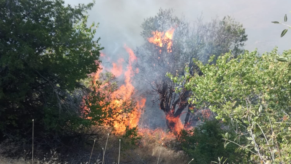 Malatya’nın Doğanyol ilçesinde meşelik alanda çıkan yangın sonucunda 150 dönümlük yanarak zarar gördü.