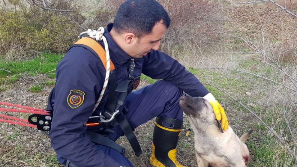 15 metrelik kuyuya düşen köpeği itfaiye kurtardı