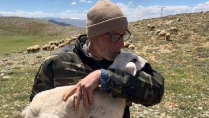 Kayıp koyunları jandarma Drone takibi ile buldu