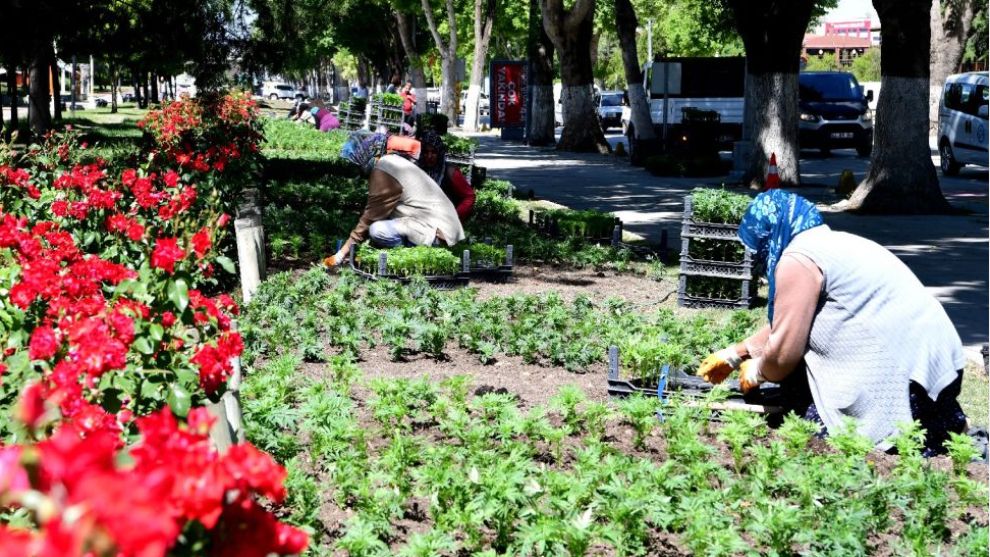 Malatya'da Parklar, Kavşaklar ve Peyzajlarda Yaz Mevsimi