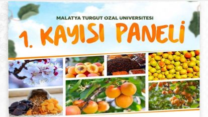 Kayısı Paneli Malatya'nın Geleceğine Işık Tutacak!..