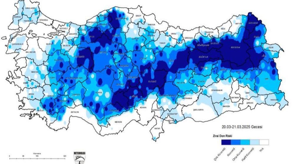 Don, Malatya Kayısısını Donduracak