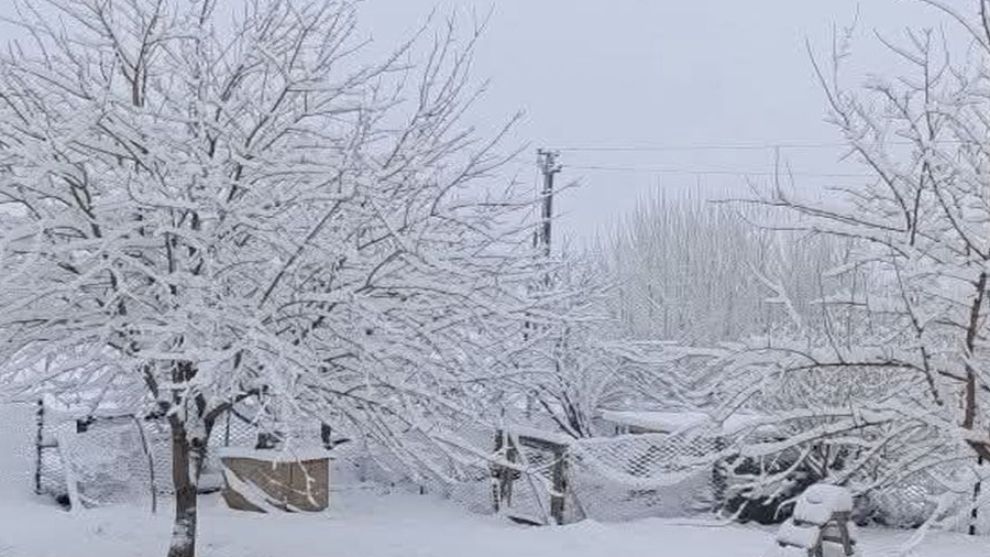 Arapgir'de okullar tatil edildi