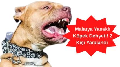 Malatya Yasaklı Köpek Dehşeti! 2 Kişi Yaralandı