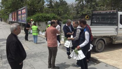 Malatya'da Atıktan Fide Mucizesi! Vatandaşlar Ücretsiz Sahip Oldu