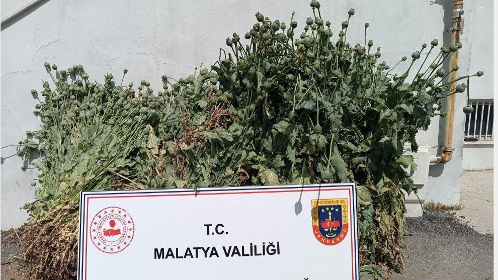 Malatya Jandarmasından 5 İlçede Narkotik Operasyonu