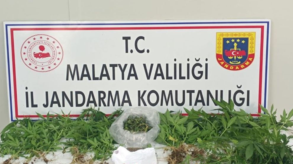 Malatya'da Uyuşturucu Operasyonu: 24 Gözaltı, 3 Tutuklama!