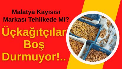 Malatya Kayısısı Markası Tehlikede Mi?  Üçkağıtçılar Boş Durmuyor!..
