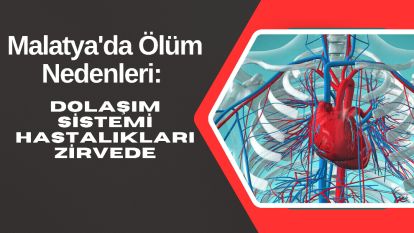Malatya'da Ölüm Nedenleri: Dolaşım Sistemi Hastalıkları Zirvede