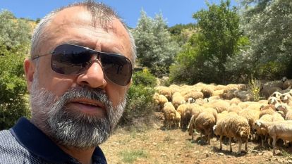 Bu şehirde kolpacıların sayısı arttı