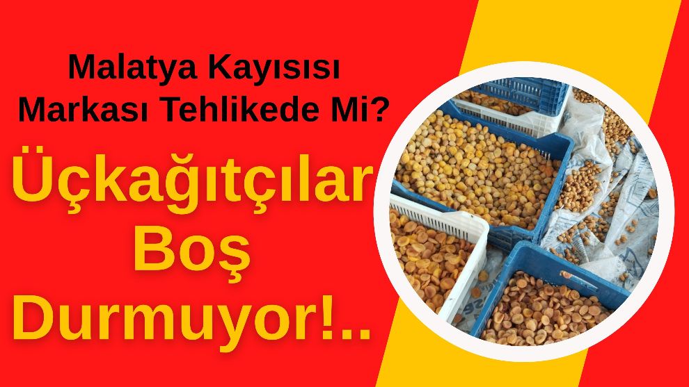 Malatya Kayısısı Markası Tehlikede Mi?  Üçkağıtçılar Boş Durmuyor!..