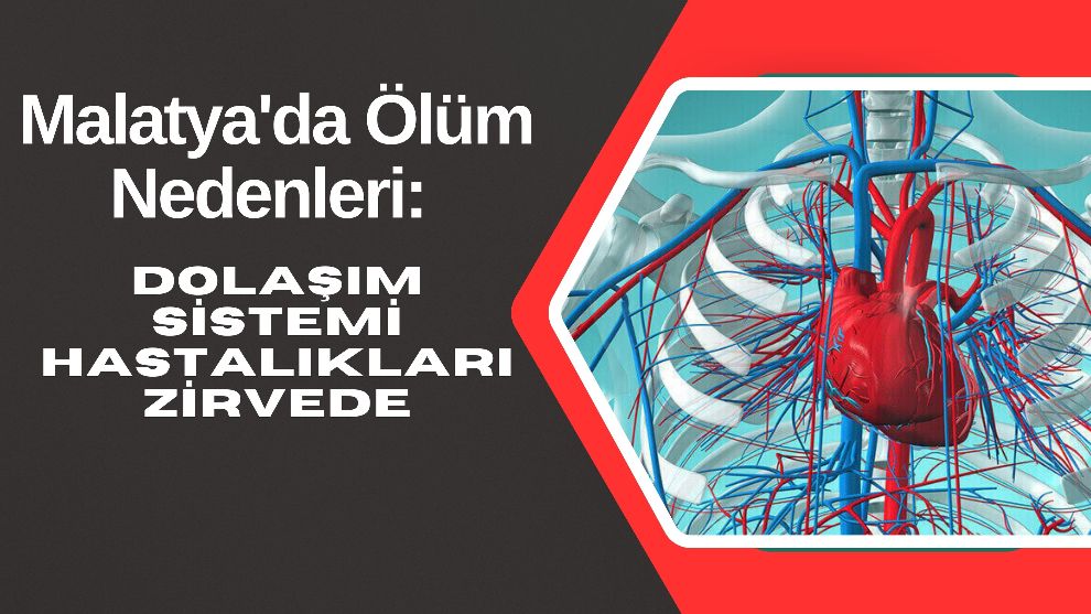 Malatya'da Ölüm Nedenleri: Dolaşım Sistemi Hastalıkları Zirvede