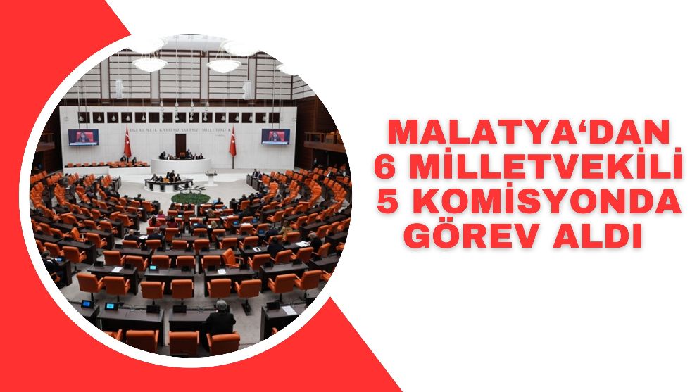 Malatya‘dan 6 Milletvekili 5 Komisyonda Görev Aldı