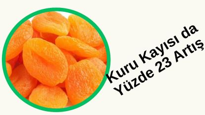Kuru Kayısı da  Yüzde 23 Artış