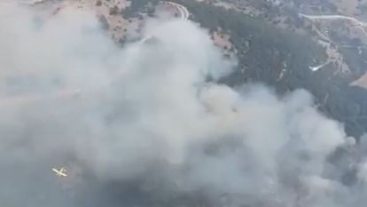 Sosyal Medyada Yangın Manipülasyonu: %69'u Negatif İçerik!