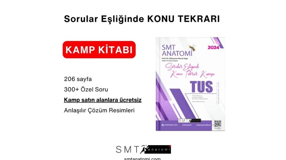 Detaylı İnsan Anatomisi Eğitim Programı Nasıl Yapılır?