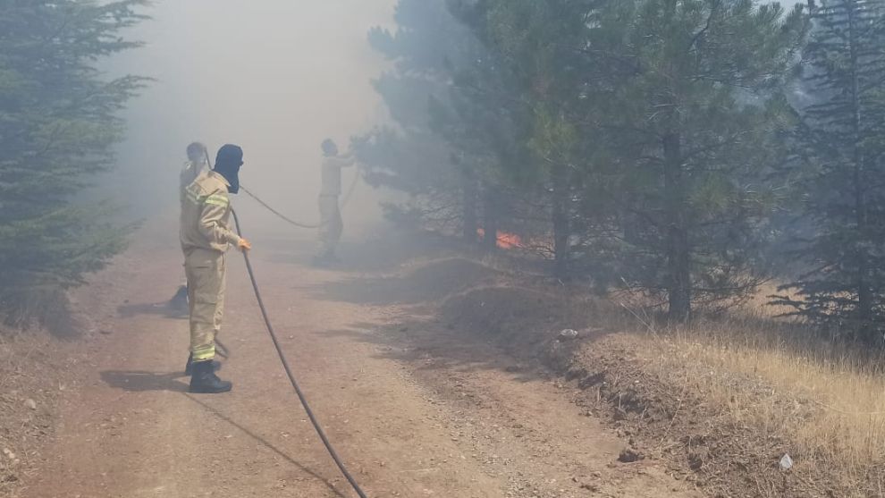 Doğanşehir'de Orman Yangını: Ekipler Seferber Oldu!