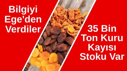 Bilgiyi Ege'den Verdiler... 35 Bin Ton Kuru Kayısı Stoku Var