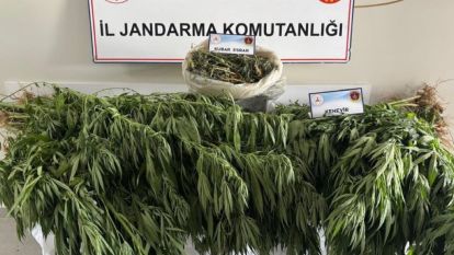 Dilek'te Uyuşturucu Operasyonu