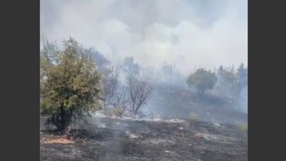 Doğanyol - Yalınca'da Orman Yangını... Besi Damı Son Anda Boşaltıldı 