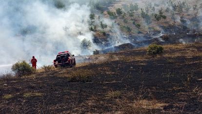 Hekimhanda Ormanlık Alanda Yangın Söndürüldü