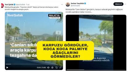 Karpuzu Gördüler, Koca Koca Palmiye Ağaçlarını Görmediler?