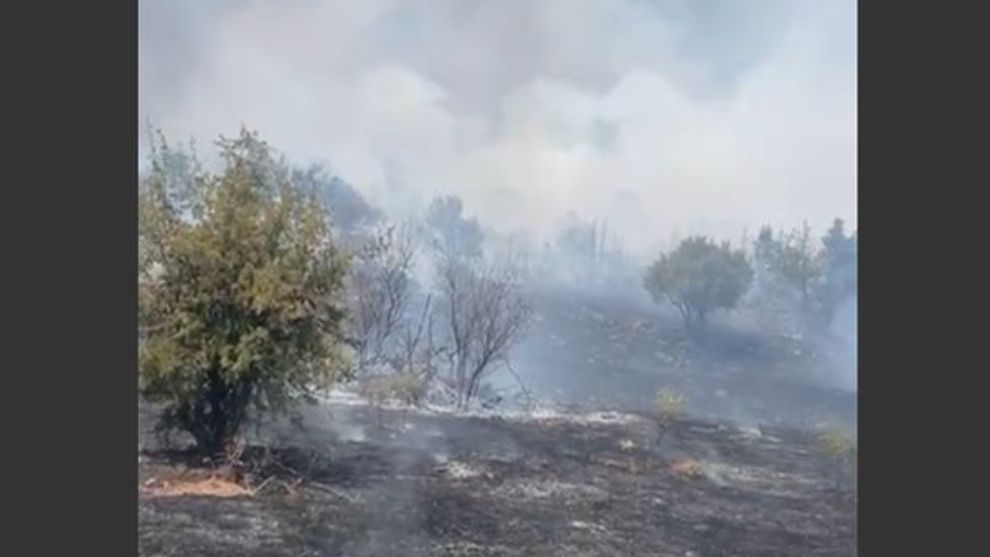 Doğanyol - Yalınca'da Orman Yangını... Besi Damı Son Anda Boşaltıldı
