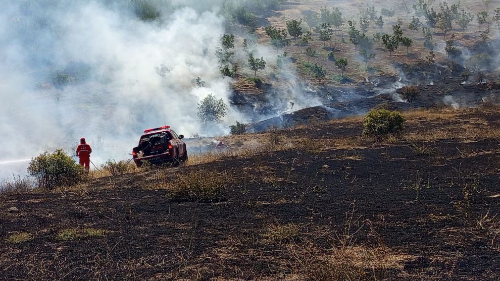Hekimhan'da Ormanlık Alanda Yangın Söndürüldü