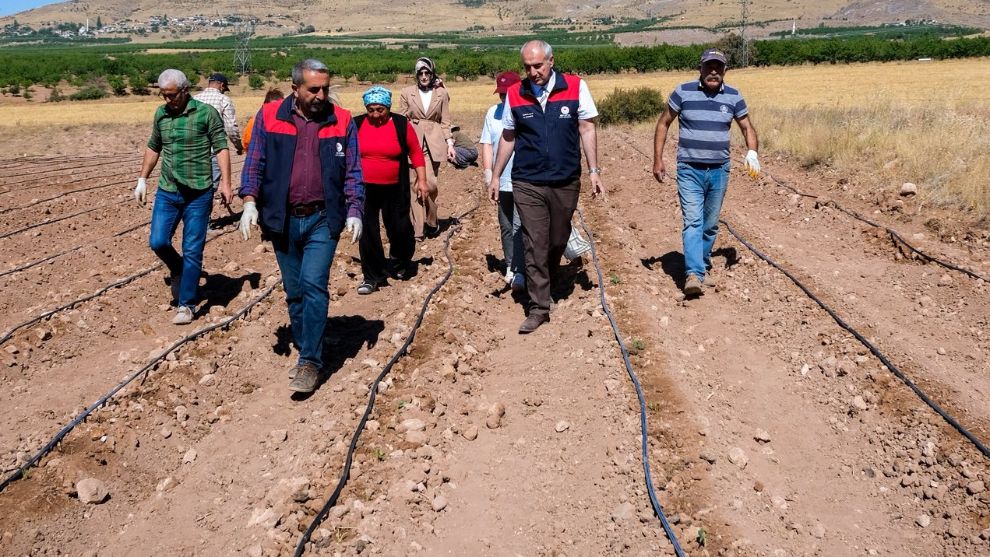 Kuluncak'ta Organik Çilek Üretimine 18.000 Fide Hibe Edildi