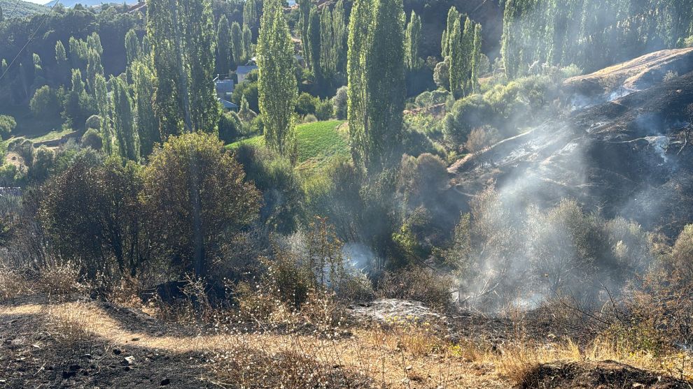 Malatya'da iki ilçede yangın