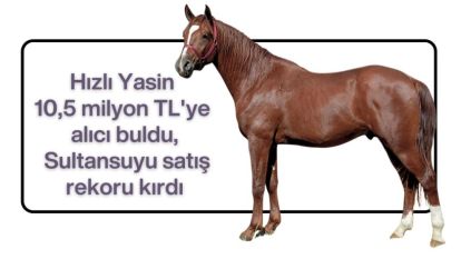 Hızlı Yasin 10,5 milyon TL'ye alıcı buldu, Sultansuyu satış rekoru kırdı