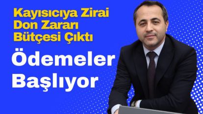 Kayısıcıya Zirai Don Zararı Bütçesi Çıktı, Ödemeler Başlıyor
