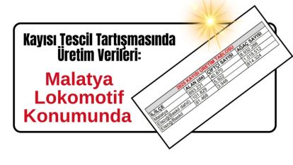 Kayısı Tescil Tartışmasında Üretim Verileri: Malatya Lokomotif Konumunda
