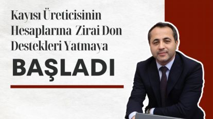 Kayısı Üreticisinin Hesaplarına  Zirai Don Destekleri Yatmaya Başladı