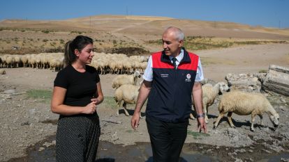 Malatyalı Kadın Yetiştirici 37 Küçükbaşla Başladı, 254 Hayvana Ulaştı 