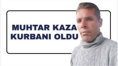 Muhtar Kaza Kurbanı Oldu