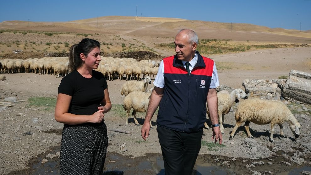 Malatyalı Kadın Yetiştirici 37 Küçükbaşla Başladı, 254 Hayvana Ulaştı