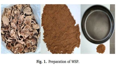 Ceviz Kabuğu Artık Yollarda: MTÜ'den Çevre Dostu Çözüm