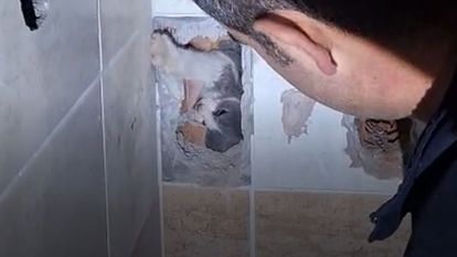  İtfaiye banyodaki fayansı kırarak kediyi kurtardı
