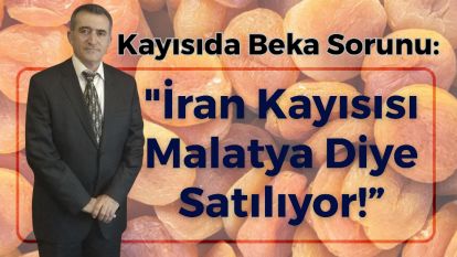 Kayısıda Beka Sorunu: "İran Kayısısı Malatya Diye Satılıyor!”