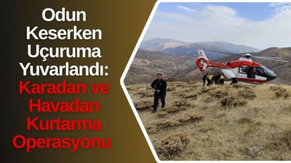 Odun Keserken Uçuruma Yuvarlandı: Karadan ve Havadan Kurtarma Operasyonu