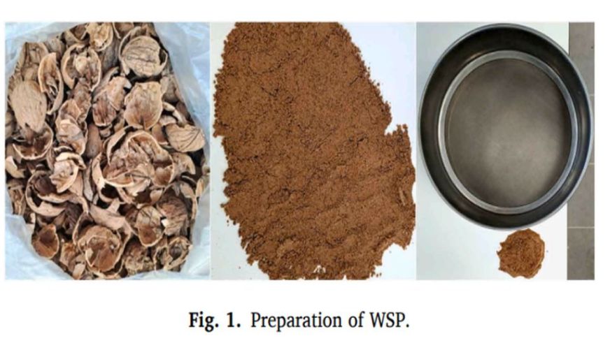 Ceviz Kabuğu Artık Yollarda: MTÜ'den Çevre Dostu Çözüm