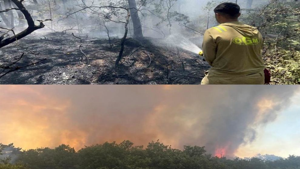 YEŞİL VATAN KARA VATANA DÖNERKEN